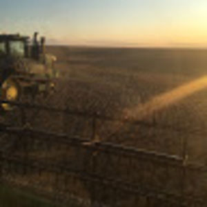 Meet your Posher, Drew